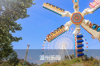 溫州網(wǎng)站建設(shè)與數(shù)字服務(wù)全指南 從網(wǎng)頁設(shè)計(jì)到APP開發(fā)