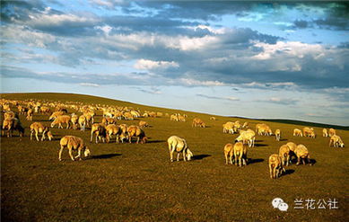 呼倫貝爾，不僅有最美的夏天，還有童話般的金秋——農(nóng)林牧漁的豐盈畫卷
